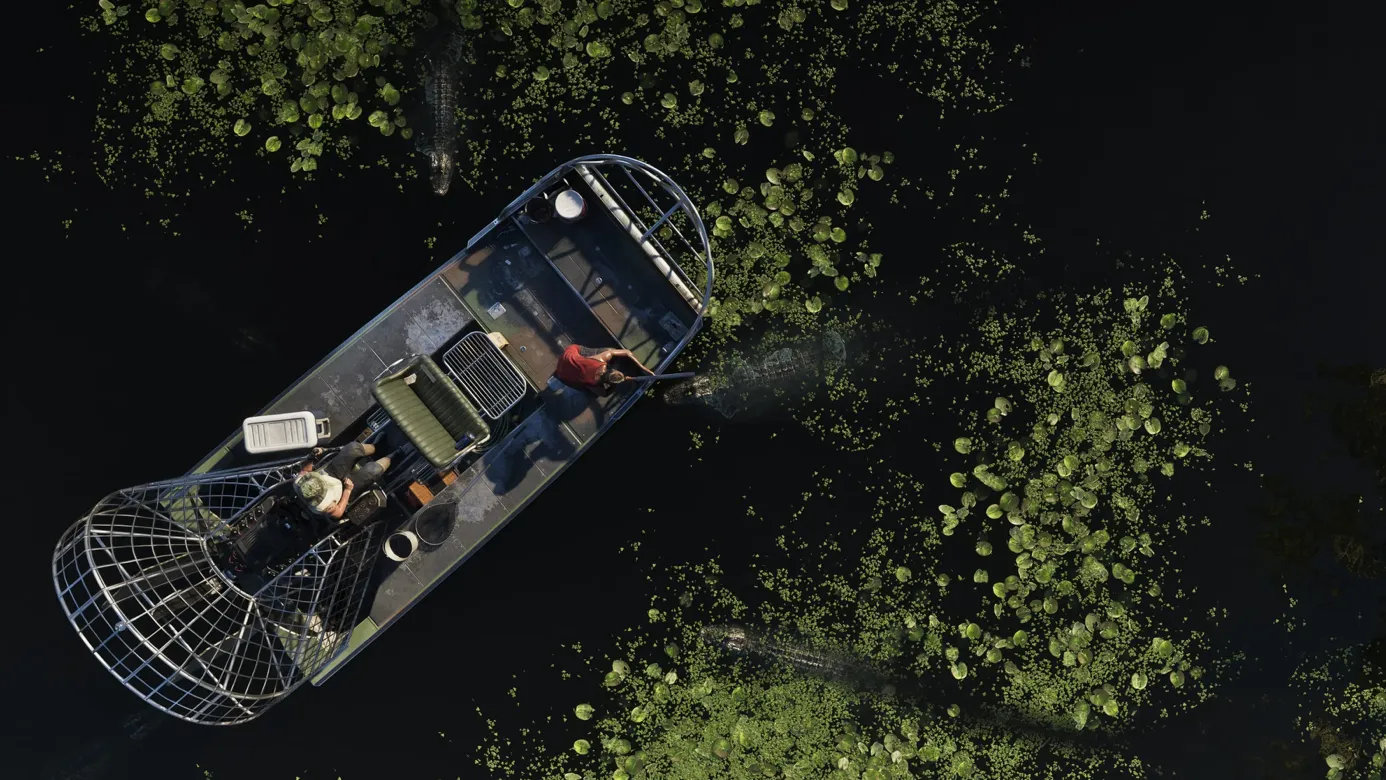 Grassrivers — GTA 6 (image 2)